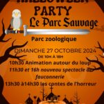 Halloween Party !! le 27 octobre 2024 de 10h à18h